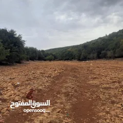  7 ارض للبيع في عجلون منطقة عفنا السوس