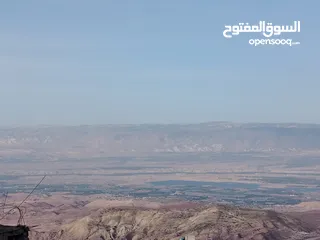  20 مزرعة زيتون ملوكية اطلالة ع الغرب و جبال فلسطين ع ثلاث شوراع قرب شارع الستين ثغرة السلطان