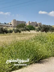  2 شفابدران حوض شكاره 500م خلف جامعة البلقا كلية عمان شارع 20م مربعه مستويه وكيل المالك بدون عمولات