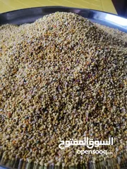  5 غذاء ملكات حبوب لقاح عسل طبيعي