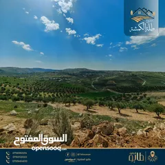  5 قطعة أرض 3650متر كوشان مستقل وإطلالة بانورامية قرب شارع الاردن