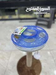  4 العاب قطط مع خداشة