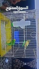  9 بسم الله الرحمن الرحيم كنار جوز شغال