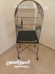  1 قفص ببغاء للبيع /وكنار احمر للبيع