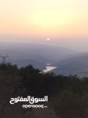  3 10 دنمات بأجمل اطلالة خلابة على سد الملك طلال