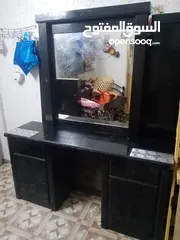  5 غرفة نوم مستعملة