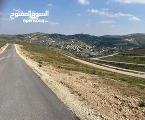  14 قطعة ارض للبيع في أجمل مناطق بيرين ( اعلى قمة )  فرصة العُمر في مشروعنا في بيرين