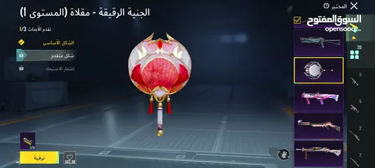  14 حساب ببجي عالمية للبيع بسعر مغري
