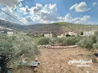  2 ارض للبيع في بيت لحم بلدة بتير