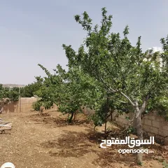  7 قطعة أرض للبيع