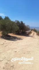  1 قطعة ارض للبيع الخليل حلحول ارنبه 345 متر