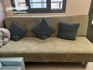  2 Medicated sofa cum bed