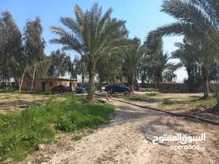  15 مزرعه 5 دونم في بغداد الرضوانيه على شارعين تبليط قرب القطاع الزراعي