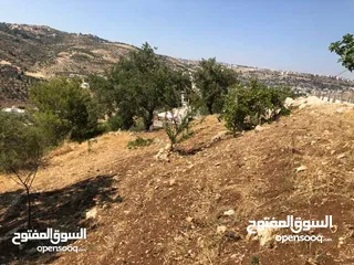  5 قطعه ارض للبيع