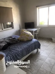 8 استوديو مفروش في جبل اللويبدة