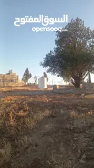  3 أرض داخل التنظيم للبيع