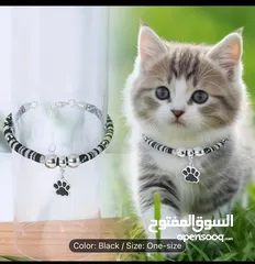  10 اغراض قطة للبيع غير مستخدمة cat accessories for sale