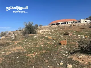  3 ارض للبيع / الصبيحي 18 دونم تقع على شارع رئيسي ‏بإطلالة مميزة وجميلة ويوجد بجانبها مطعم