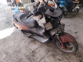  9 شصيات للبيع
