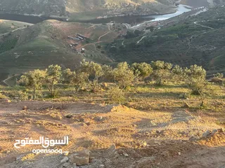  13 ارض للبيع جرش المجدل راس دبوس مطله على سد الملك طلال مساحة 3000متر بسعر مغري جداااااا