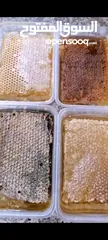  13 عسل طبيعي 100% وجميع منتجات النحل  مؤسسة كاشور  للعسل الطبيعية