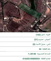  1 من الدلم لعشرين بدك واحد او كله مافي مشكله
