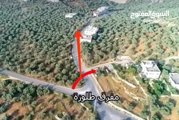  6 ارض للبيع فى عصيرة الشمالية، طابو نابلس، كوشان مستقل لخمسة اسخاص، كل شخص يضع سنسال على حصته