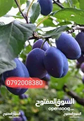  22 مزرعة لقطة مميزة مع بيت طابقين مطلة ومرتفعة