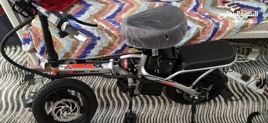  2 Folding Electric Bike