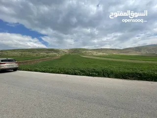  6 تملك بدينار واحد فقط متر الارض ضمن اراضي العاصمة عمان وبقوشان مستقل