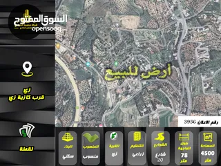  1 رقم الاعلان (3956) ارض زراعية للبيع في منطقة زي