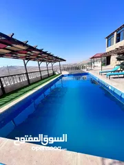  25 مزرعة ابو احمد البلوطي