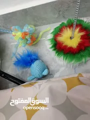  17 إكسسوارات قطط مستعملة بحالة الوكالة