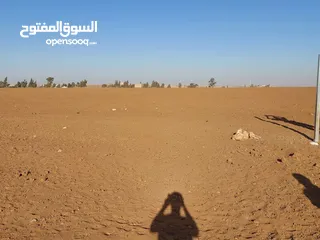  3 مادبا ماعين مشرفه المرعاوي  قطعة ارض زراعية مميزة  ذات اطلالة على البحر الميت واصل الخدمات 4150 متر