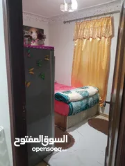  29 شقه سيدي بشر قبلي ثاني نمرة من شارع حسن رفعت