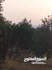  9 10 دنمات بأجمل اطلالة خلابة على سد الملك طلال