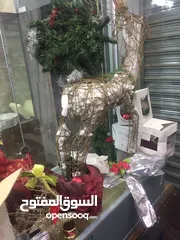  3 ديكور محل كامل للبيع محل ذهب و محوهرات(الصويفيه