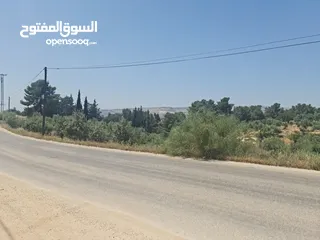  3 ارض للبيع في اجمل مناطق عمان [بدر الجديده] 650م حوض الكاشف تعبد عن اشاره النسر 10 دقائق