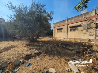  1 أرض مميزة للبيع بين عسكرين – موقع رائع وفرصة استثمارية
