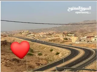  1 قطع أراضي للبيع في منطقة الروضة حوض منسف ابو زيد مطلة على البحر الميت