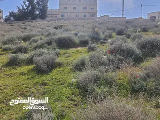  7 500 متر في بيرين حوض القصبات  بالقرب من شفا بدران