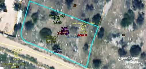  4 قطعة أرض 660 متر استثمارية مميزة في قرية الراس / طولكرم