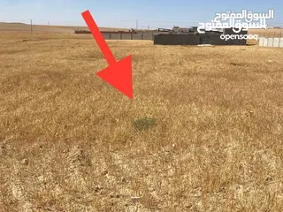  1 ارض للبيع بسعر مغري