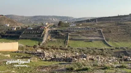  1 قطعة ارض مميزه للبيع في نادره