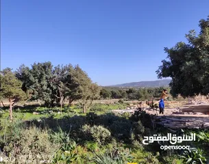  3 ارض  سياحيه بالجبل الاخضر