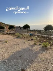  21 مزرعة في مغاريب السلط من المالك مباشرة