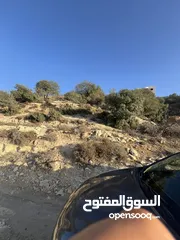  4 ارض واد الزرزير مطله وهادئه