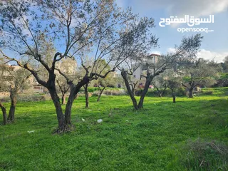  1 ارض للبيع في منطقه جفنا في حوض ازعبوب في العالي  عاليه ومطله ومرتفعه  جدا صالحه للبيناء بيت أو فيلا
