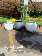  30 قواوير فايبر جلاس بشكل عصري أنيق #قواوير فايبر جلاس  #نباتات زينة ومثمر داخلي وخارجي  #إشراف مهندسين