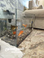 1 للبيع حوض سمك اوروبي فاخر  تفصيل أنيق وجودة عالية لعشاق التميز